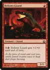 Product image for Bellows Lizard