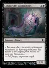 Product image for Limace des catacombes