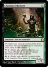 Product image for Shamane ritemort