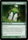 Product image for Lierre grimpe-porte