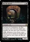 Product image for Rat de meute