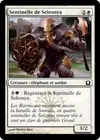 Product image for Sentinelle de Selesnya