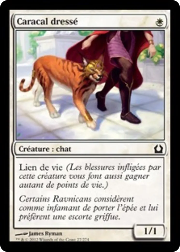 Caracal dressé — Return to Ravnica — Magic: The Gathering