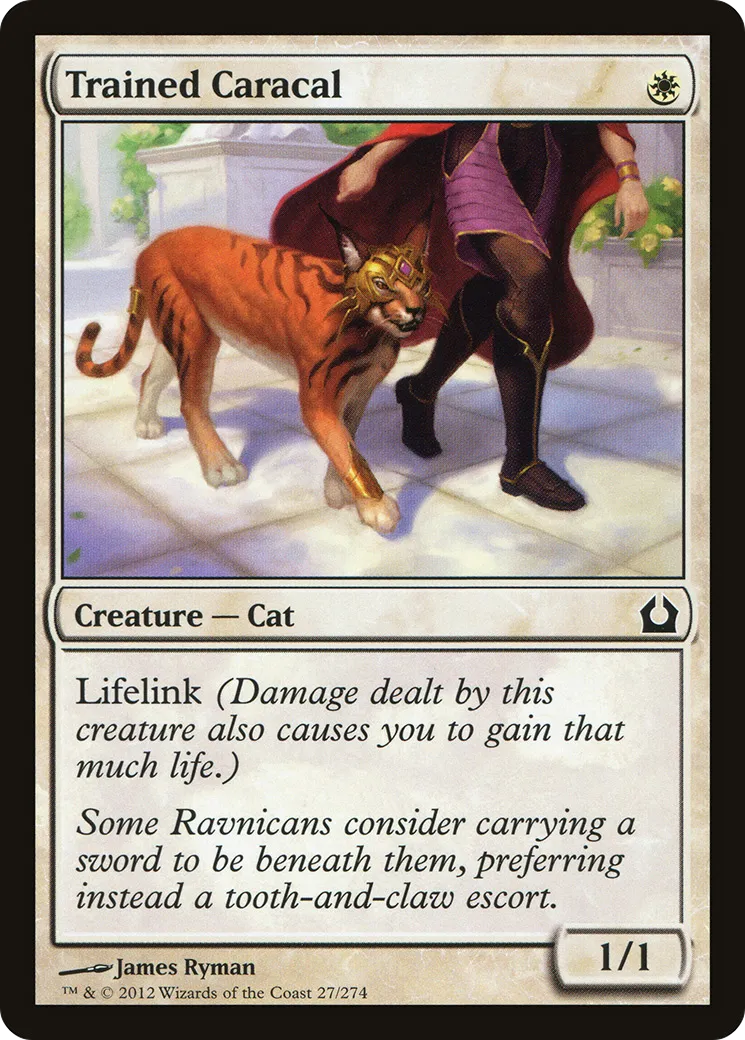 Trained Caracal — Return to Ravnica — Magic: The Gathering