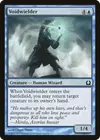 Product image for Voidwielder