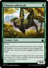 Product image for Paisseur arboricole
