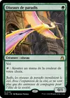 Product image for Oiseaux de paradis