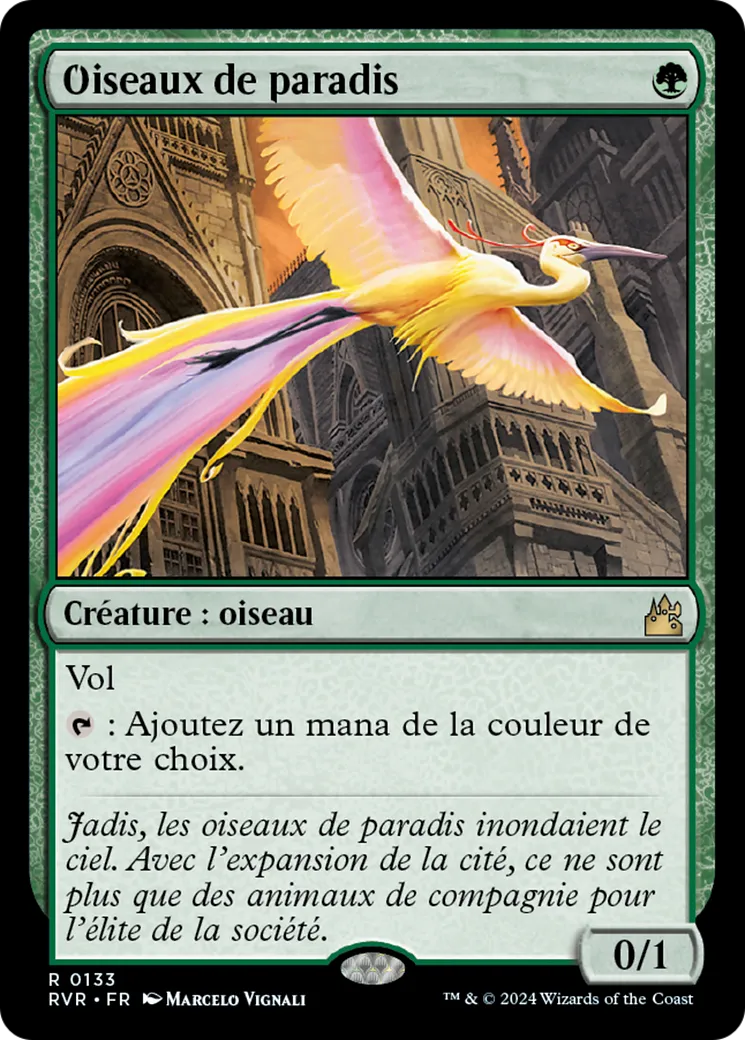 Oiseaux de paradis