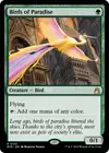 Product image for Birds of Paradise