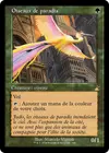 Product image for Oiseaux de paradis