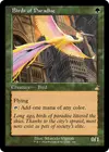 Product image for Birds of Paradise