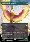 Product image for Oiseaux de paradis