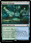 Product image for Bassin d'élevage