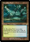 Product image for Breeding Pool