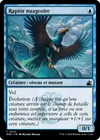Product image for Raptor nuageoire