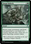 Product image for Fungal Rebirth