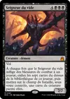 Product image for Seigneur du vide