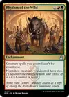 Product image for Rhythm of the Wild
