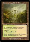 Product image for Porte de la guilde de Selesnya