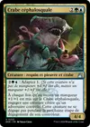 Product image for Crabe céphalosquale