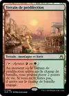 Product image for Terrain de prédilection