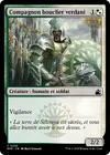 Product image for Compagnon bouclier verdani