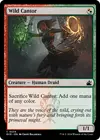 Product image for Wild Cantor