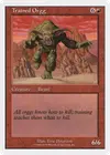 Product image for Trained Orgg