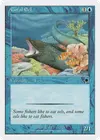 Product image for Coral Eel