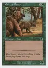 Product image for Grizzly Bears