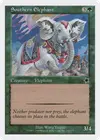 Product image for Southern Elephant