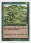 Product image for Summer Bloom