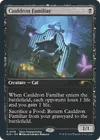 Product image for Familier de chaudron