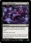 Product image for Feux aphotiques