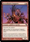 Product image for Incendiaires boggarts