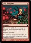 Product image for Feux pourpres