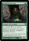 Product image for Druidesse dévouée