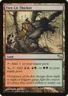 Product image for Fire-Lit Thicket