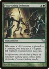 Product image for Flourishing Defenses