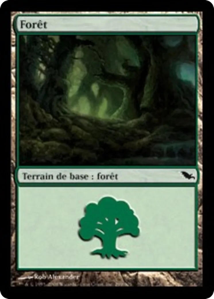 Forêt — Shadowmoor — Magic: The Gathering