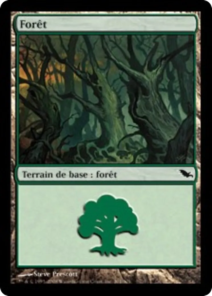 Forêt — Shadowmoor — Magic: The Gathering