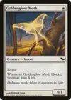 Product image for Goldenglow Moth