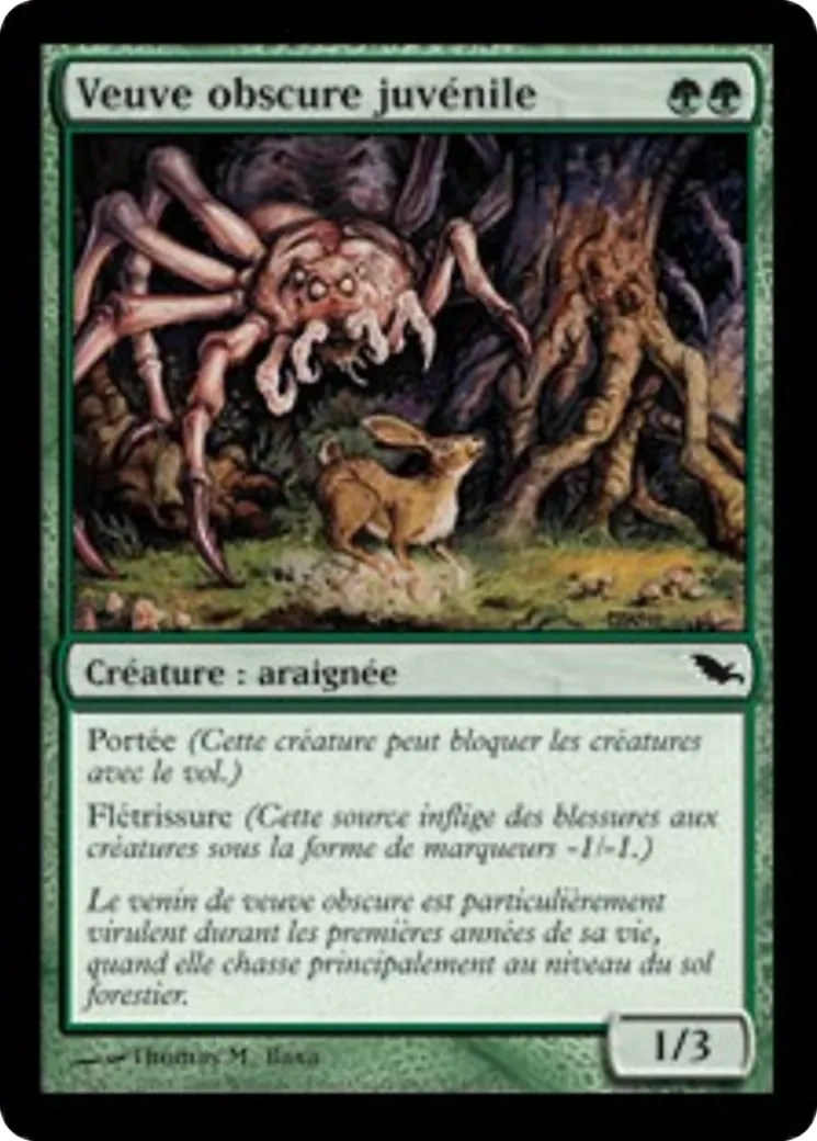 Veuve obscure juvénile — Shadowmoor — Magic: The Gathering