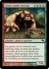 Product image for Géant traîne-terreau
