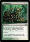 Product image for Euthanasie