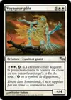 Product image for Voyageur pâle