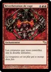 Product image for Réverbération de rage