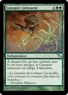 Product image for Canopée ratissante
