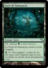 Product image for Forêt de Suintesève