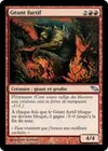 Product image for Géant furtif
